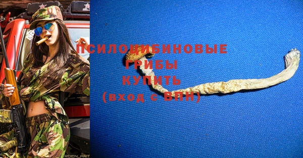 СК Алексин
