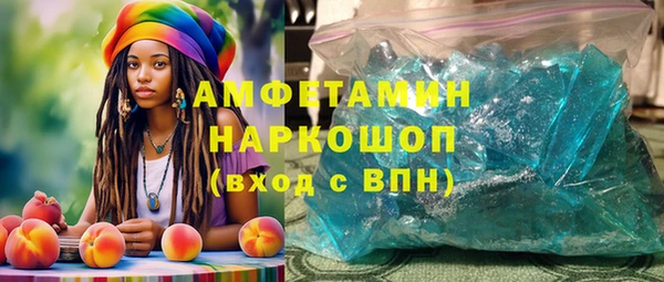 СК Алексин