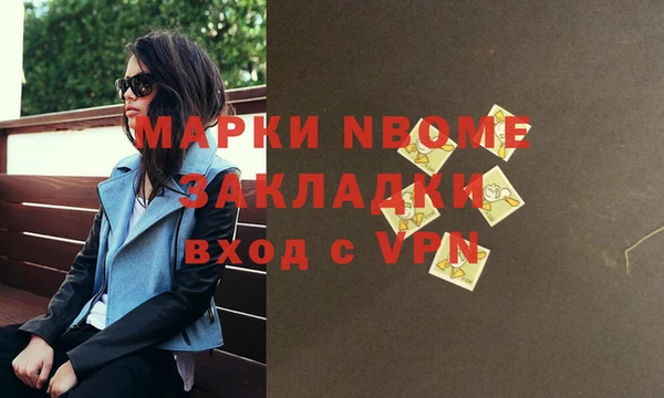СК Алексин