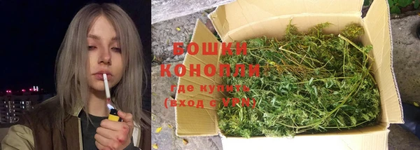 гидра Алексеевка
