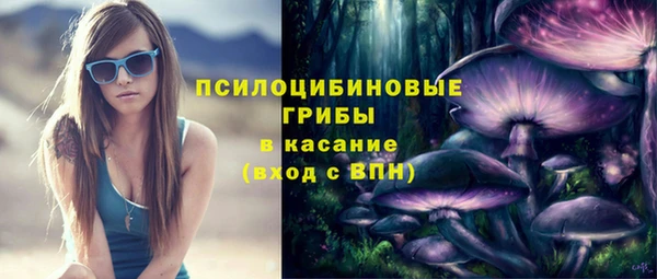 дмт Алзамай