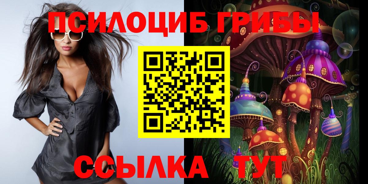 Псилоцибиновые грибы MAGIC MUSHROOMS Избербаш