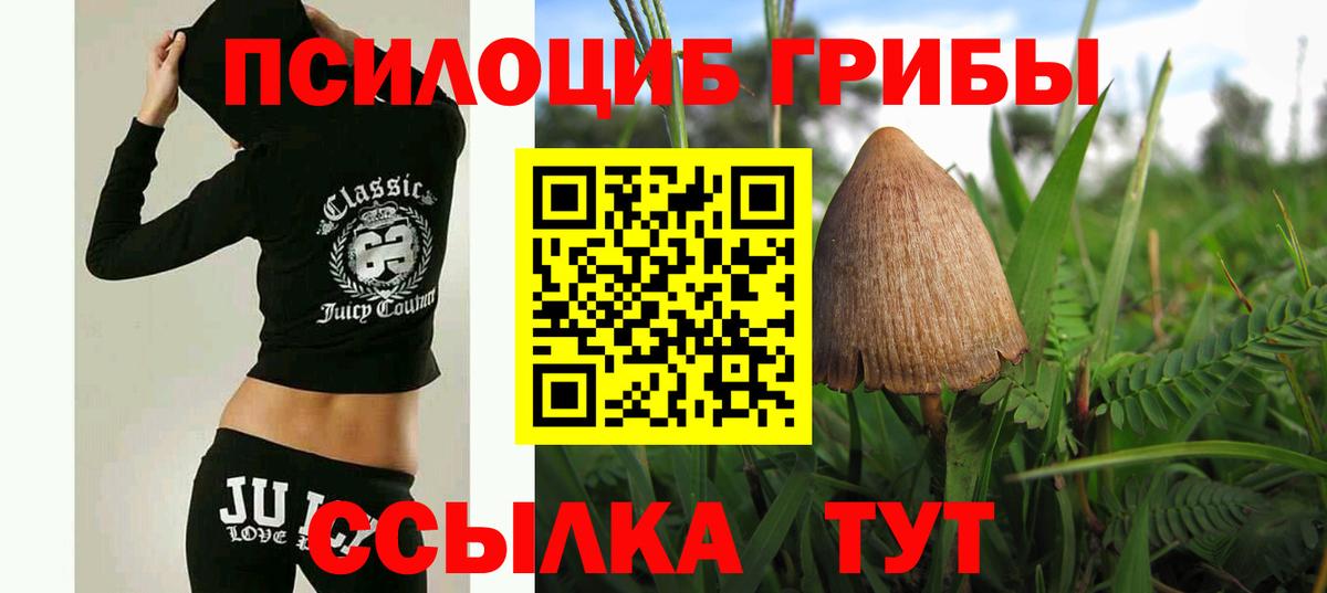 Избербаш  Псилоцибиновые грибы Cubensis  цены   Вход с VPN 
